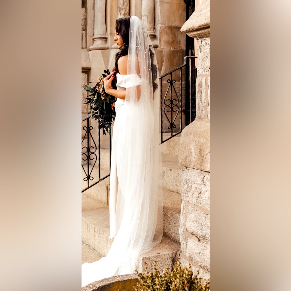 Anthropologie Roesia Tulle & Pearl Veil